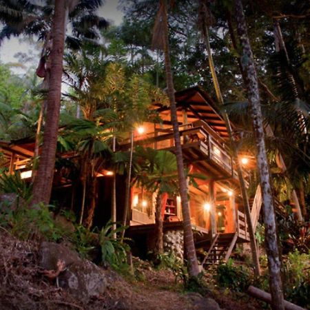 הוילה Currumbin Valley Currumbin Rainforest Treehouse מראה חיצוני תמונה