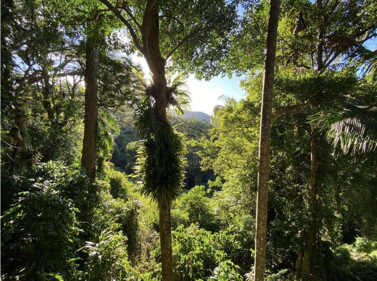 הוילה Currumbin Valley Currumbin Rainforest Treehouse מראה חיצוני תמונה